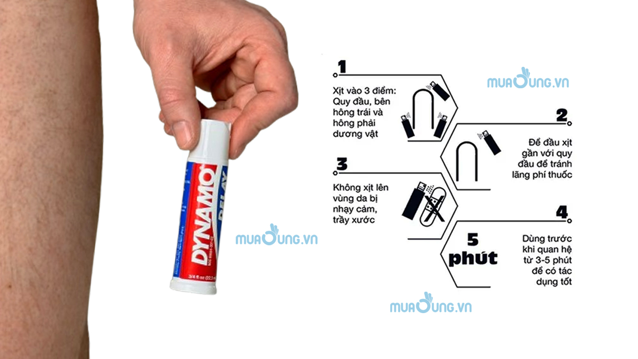 cách sử dụng dynamo
