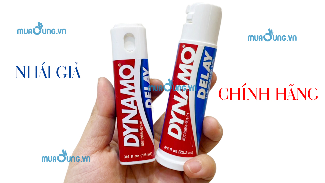dynamo