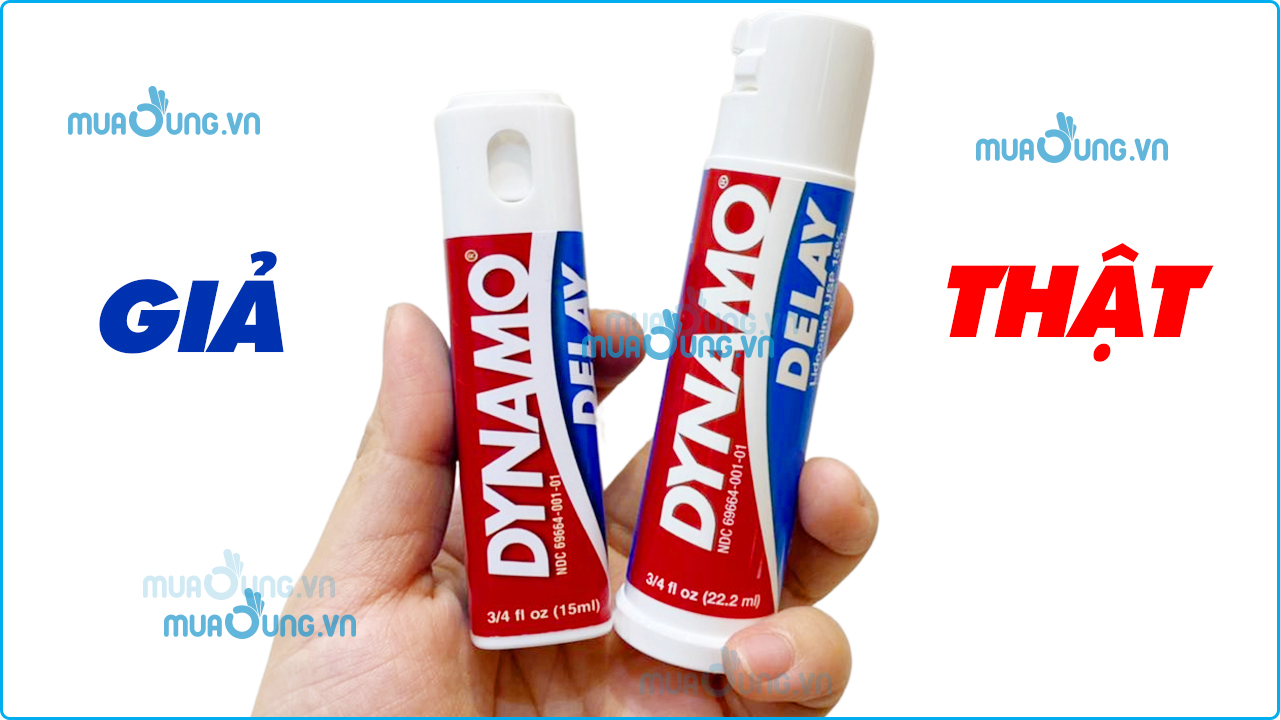 dynamo
