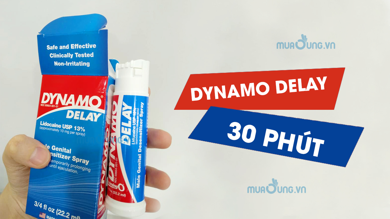 DYNAMO DELAY